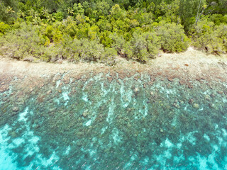 Healthy corals grow along the coastline of a set of remote, tropical islands near Halmahera, Indonesia.This beautiful area is home to extraordinary marine biodiversity.