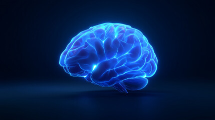 x ray of human brain