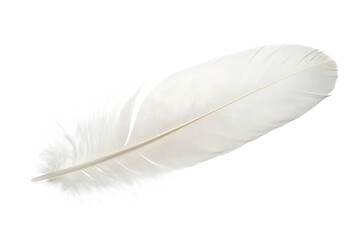 A single white feather isolated on a transparent background.PNG