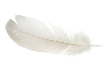 Obraz premium A single white feather isolated on a transparent background.PNG