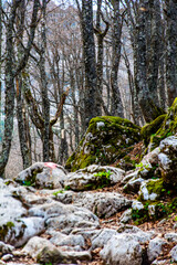 Strong contrast of cool rocks
