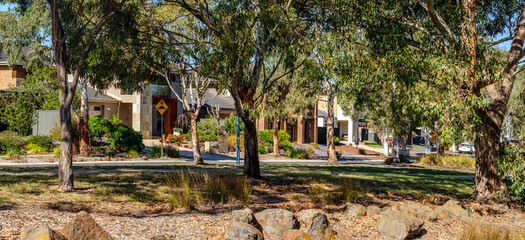 Tree-lined suburban street in Manor Lakes, Melbourne, Australia featuring native landscaping, modern residential homes.A well-designed neighborhood where native vegetation and urban living coexist