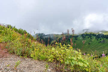 La magnifique montagne de Châtel, enveloppée de nuages, offre un paysage à couper le souffle,...