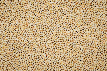 Fototapeta premium high-angle close-up view of a vast expanse of pale yellow beans