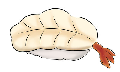 シンプルな生海老のお寿司のイラスト