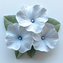 Three Elegant White Flowers With Green Leaves High Resolution Photo