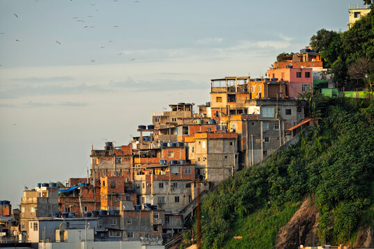 Typical favela buildings on the top of steep hill at sunrise in Rio de Janeiro, Brazil