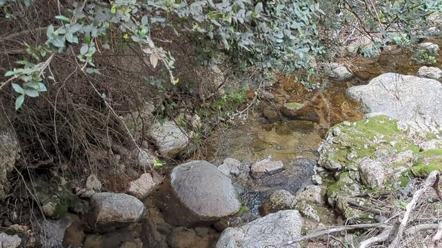 Torrent with crystal clean clear water flowing in Serra de Tramuntana nature, Valldemossa. Sa Raixa excursion route, Mallorca, Balearic Islands. Natural environment, trees, rocks, spring hiking trail.