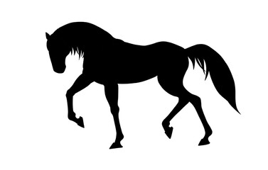 horse silhouette on white background, horse in different poses, hand drawn, black silhouette, horse walking