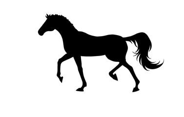 horse silhouette on white background, horse in different poses, hand drawn, black silhouette, graceful horse running