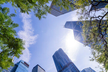 Modern skyscrapers rising behind green tree branches with bright sun flare in a cityscape view, blending nature and urban architecture under a clear blue sky.