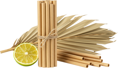 Eco Friendly Paper Straws Bundle with Lime and Palm Leaf Sustainable Drinking