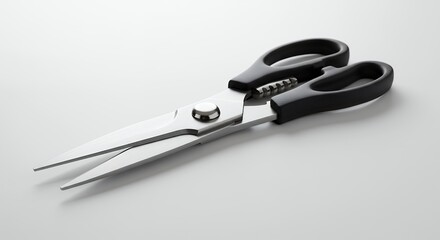Kitchen shears on light background