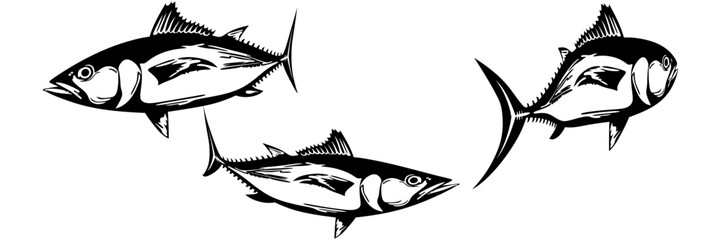vector illustration of fish for a world tuna day