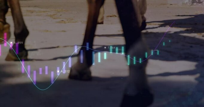 Horse hooves walking on sunlit stable path, showing colored candlestick chart overlay moving upward
