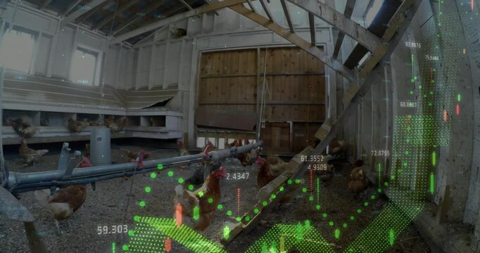 Free-range hens roaming coop, metal feed rail running diagonally, data analytics overlays changing
