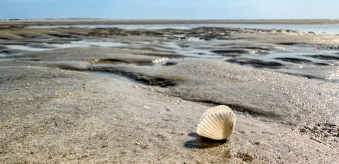 Early Morning Low Tide at East Beach, St Simons Island, Georgia, USA