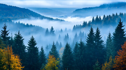 Misty Mountains: Autumn Forest Enchantment