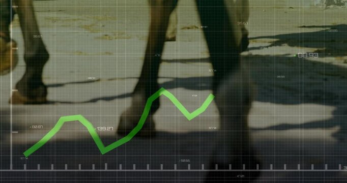Horse hooves moving on sandy ground, displaying green line graph over transparent grid in 3D render