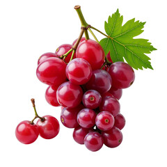 Red Grape Cluster on white or transparent png