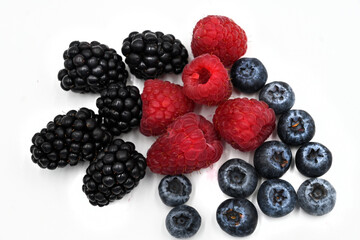 BERRIES FRAMBUESA ARÁNDANOS MORA MURTA FRUTOS SILVESTRES BAYAS