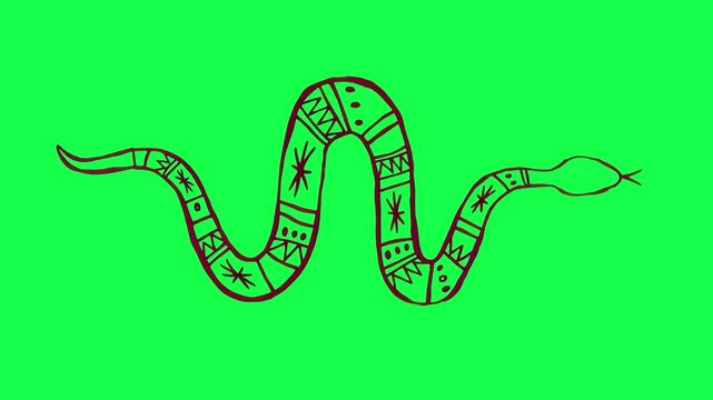 Tribal snake illustration design 4K video, transparent on green screen