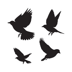 Obraz premium Flying birds silhouette vector illustration, bird shapes in flight, vector bird design elements, bird icons set