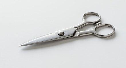 Metallic shears on white background