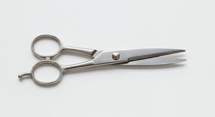 Obraz premium Professional hairdressing scissors on white background