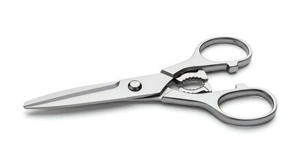 Fototapeta premium Professional kitchen shears