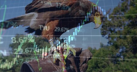 Falcon perching on leather falconry glove, displaying financial charts in animated 3D render - Powered by Adobe