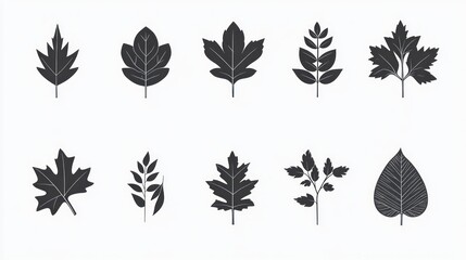 Autumn Leaves Silhouettes