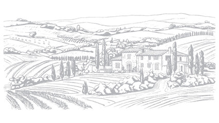 rural landscape with vineyard and trees