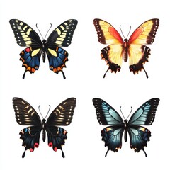 Obraz premium Beautiful butterfly illustration collection