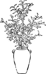 Planta de olivo en maceta. Planta de interior. Planta natural decorativa. Ilustración vectorial de planta de olivo para invitaciones, papelería, branding