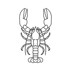 Crayfish lobster line art vector illustration isolated on white background. Seafood lobster drawing for restaurant, kitchen, seafood menu, fishing, coastal decor. Marine life and cuisine concept.