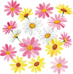 Cheerful Pink, Yellow, and White Daisies Illustration