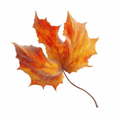 Obraz premium Frosted Autumn Maple Leaf on Vibrant Pink Transparent background