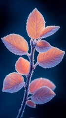 soft pastel-colored frost covering autumn leaves delicate icy textures glowing in warm morning light intricate macro details of the frozen foliage natural and ethereal composition 