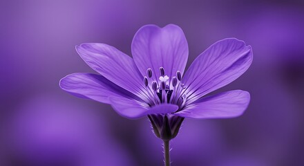 Violet Bloom's Soft Embrace AI Generated