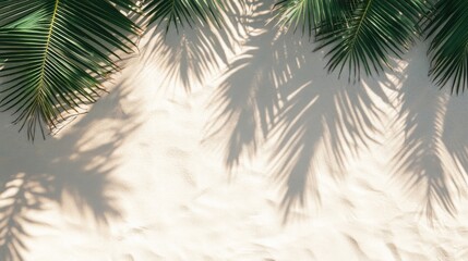 Obraz premium Palm Leaf Shadows on Sandy Beach