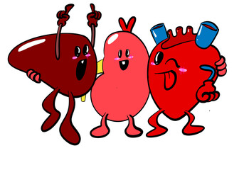 Cute kidney heart and liver sticker cartoon