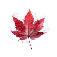 Abstract Red Maple Leaf with White Smoke or Vapor Design Element