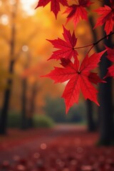 Single red maple leaf set amidst vibrant autumn hues, red leaf, blurred background