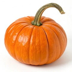 Bright Orange Pumpkin with Curved stem