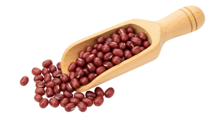 Wooden Shovel with Red Adzuki Beans Isolated Healthy Food Ingredient Cooking