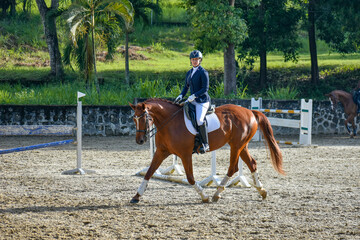 Young woman riding a horse in a dressage competition