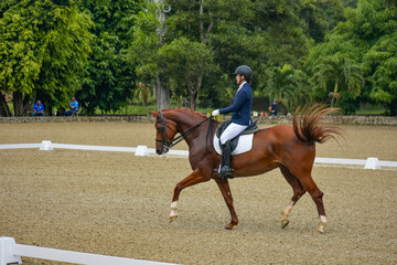 Young woman riding a horse in a dressage competition