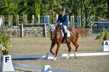 young woman riding a horse in a dressage competition