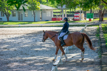 young woman riding a horse in a dressage competition